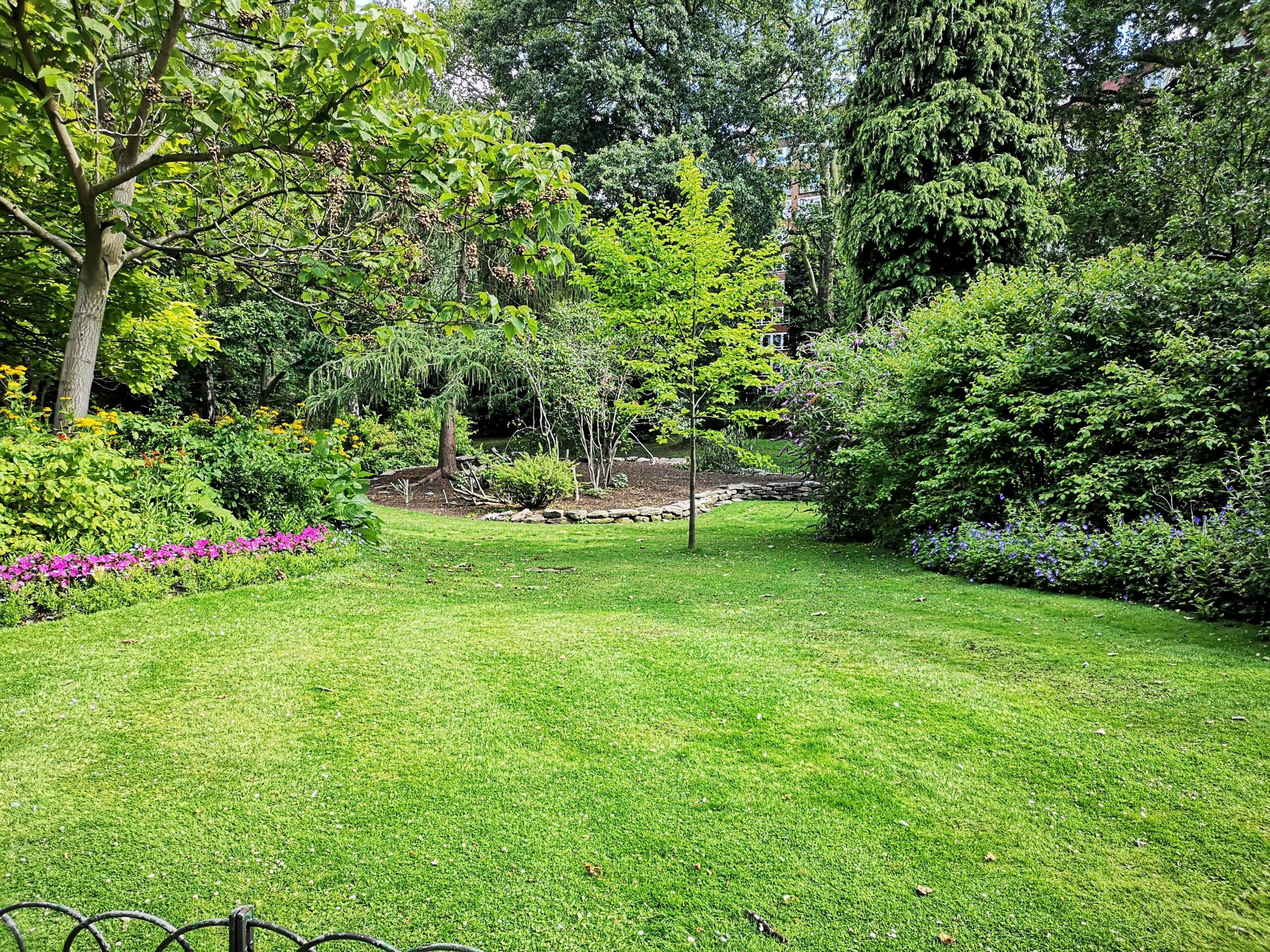 beautiful green landscape with trees and shrubs - tree care in Newark DE -  Stein Tree Service